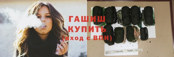 крисы Алзамай