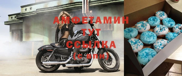 крисы Алзамай