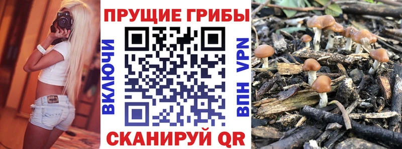 Галлюциногенные грибы Cubensis  Купить  Калининец 